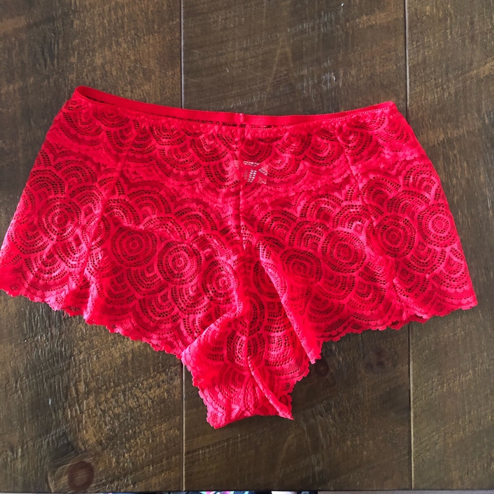NWOT Angelina lace hipsters panties